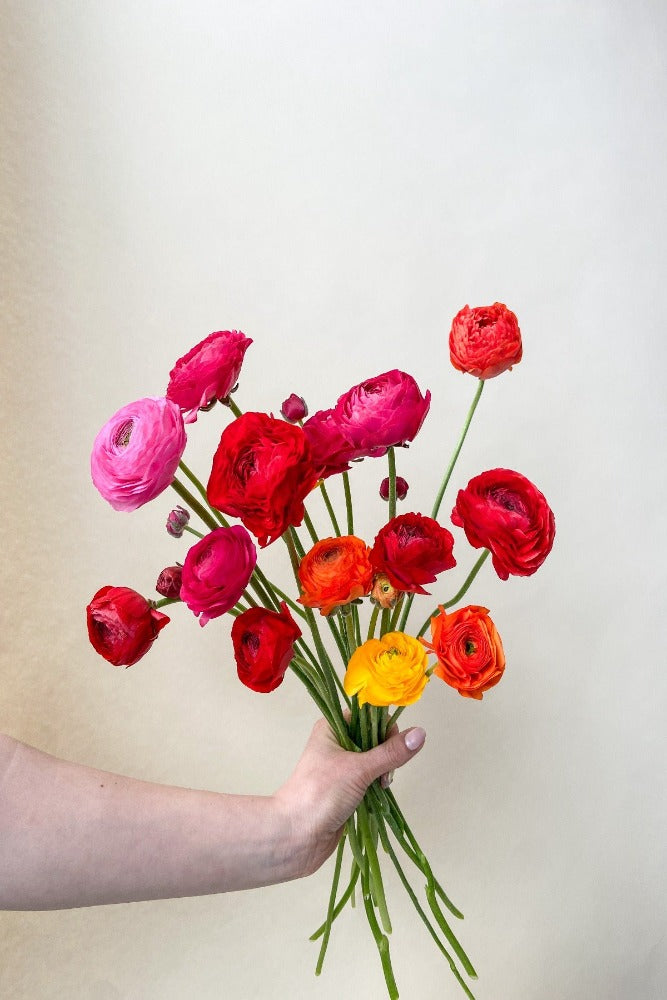 Vancouver Ranunculus Bouquet - Vancouver Flower Delivery