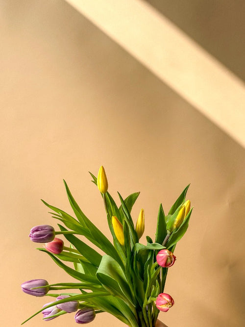 Tulip Bouquet Vancouver - Vancouver Flower Delivery