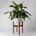 KANSO Adjustable Plant Stands