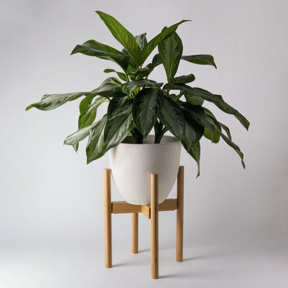 KANSO Adjustable Plant Stands