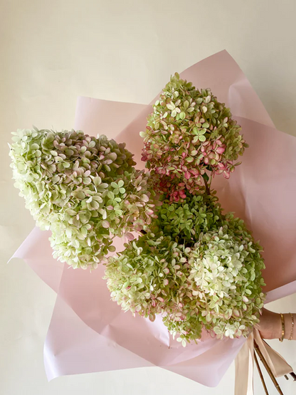 Dried Limelight Hydrangea Bunch