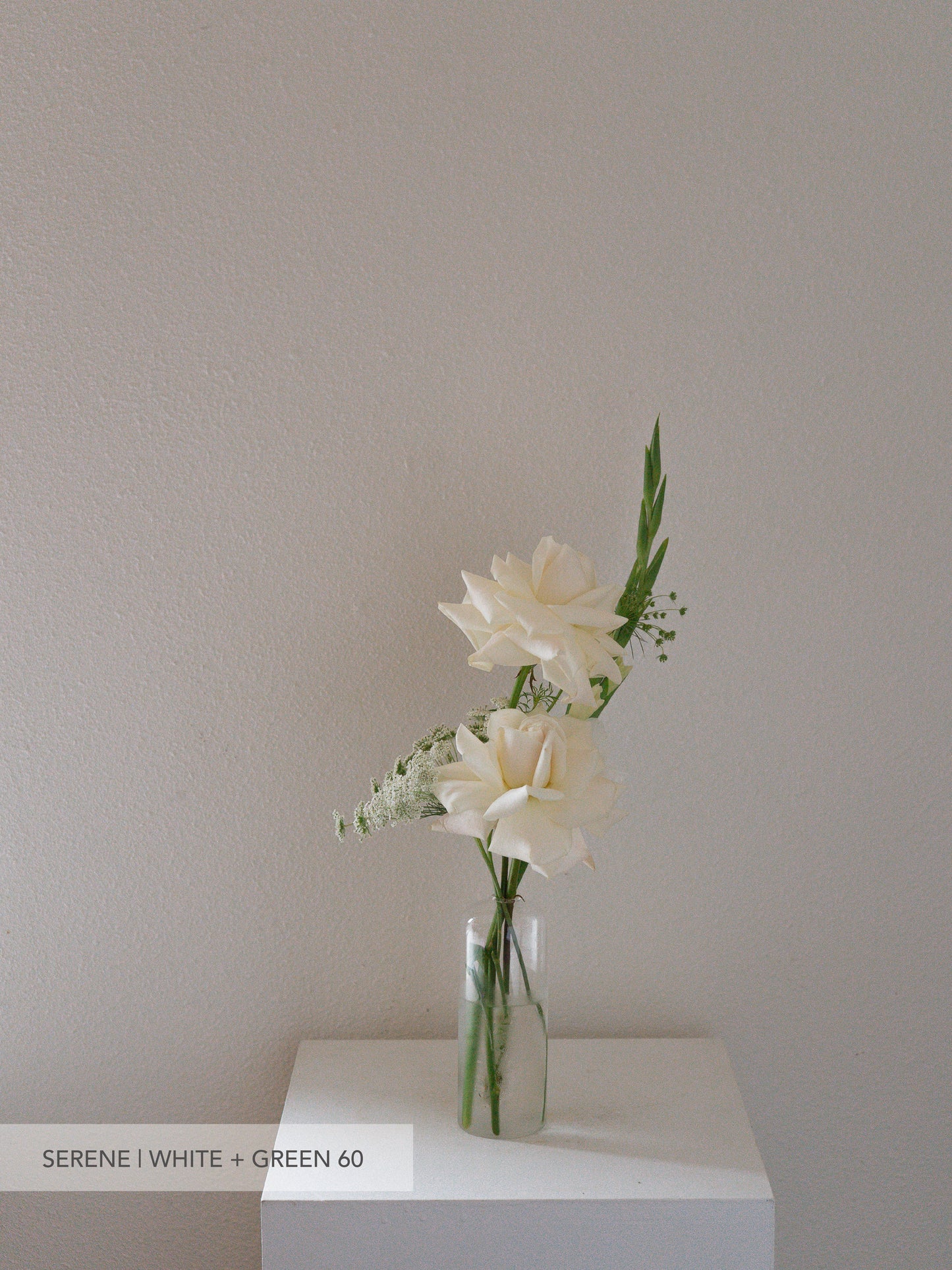 Glass Bud Vase