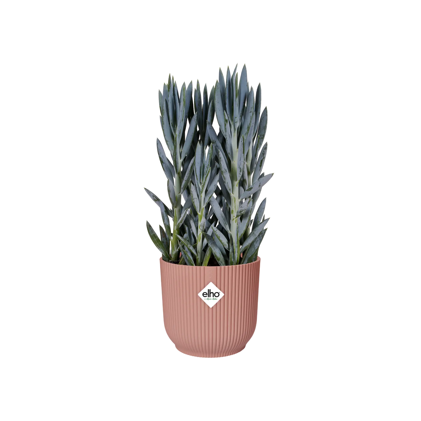 Elho Vibes Fold Round Planter