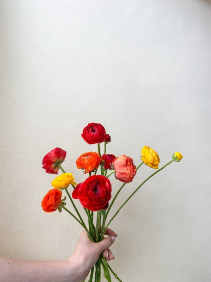 Vancouver Ranunculus Bouquet - Vancouver Flower Delivery