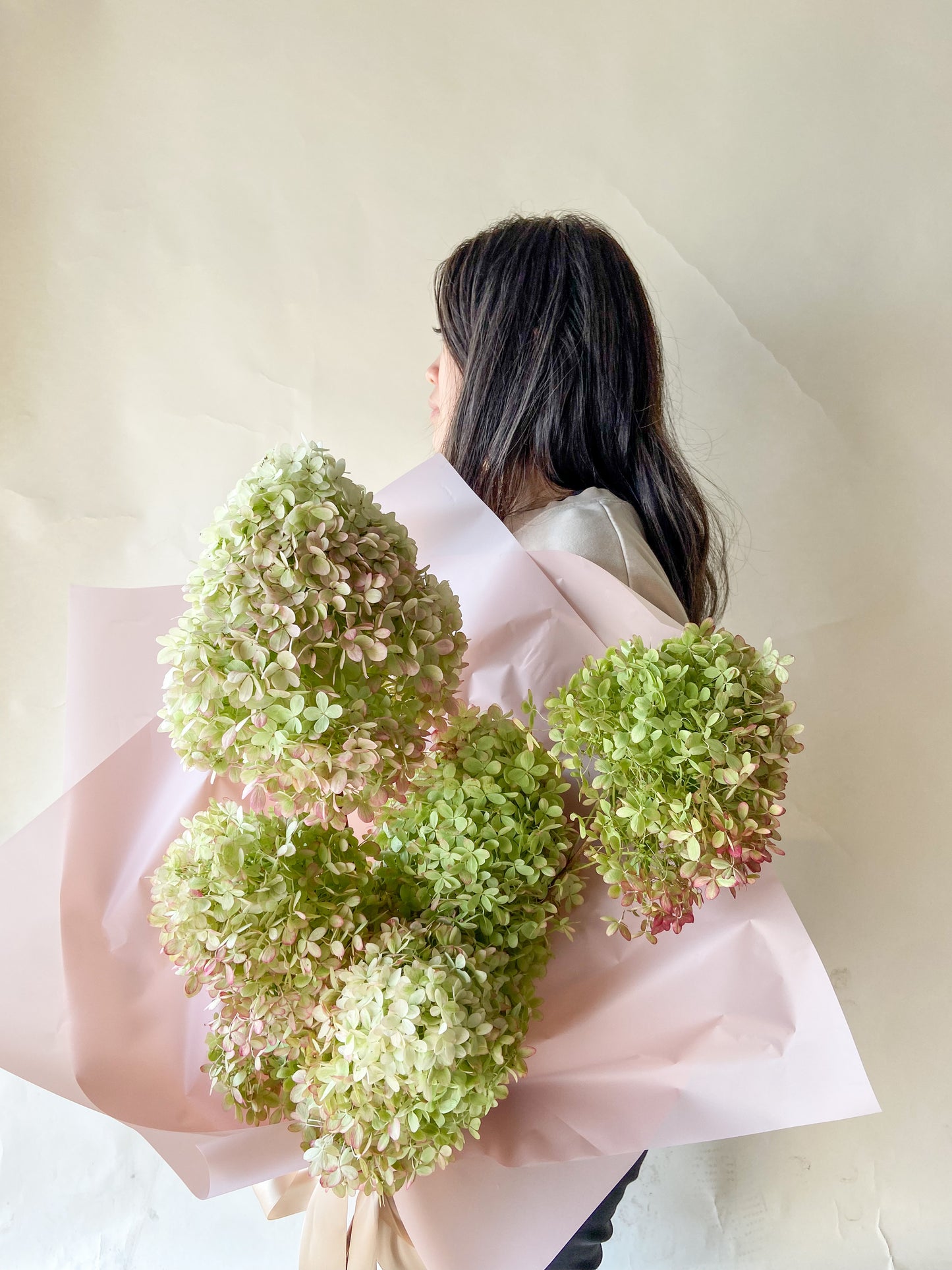 Dried Limelight Hydrangea Bunch