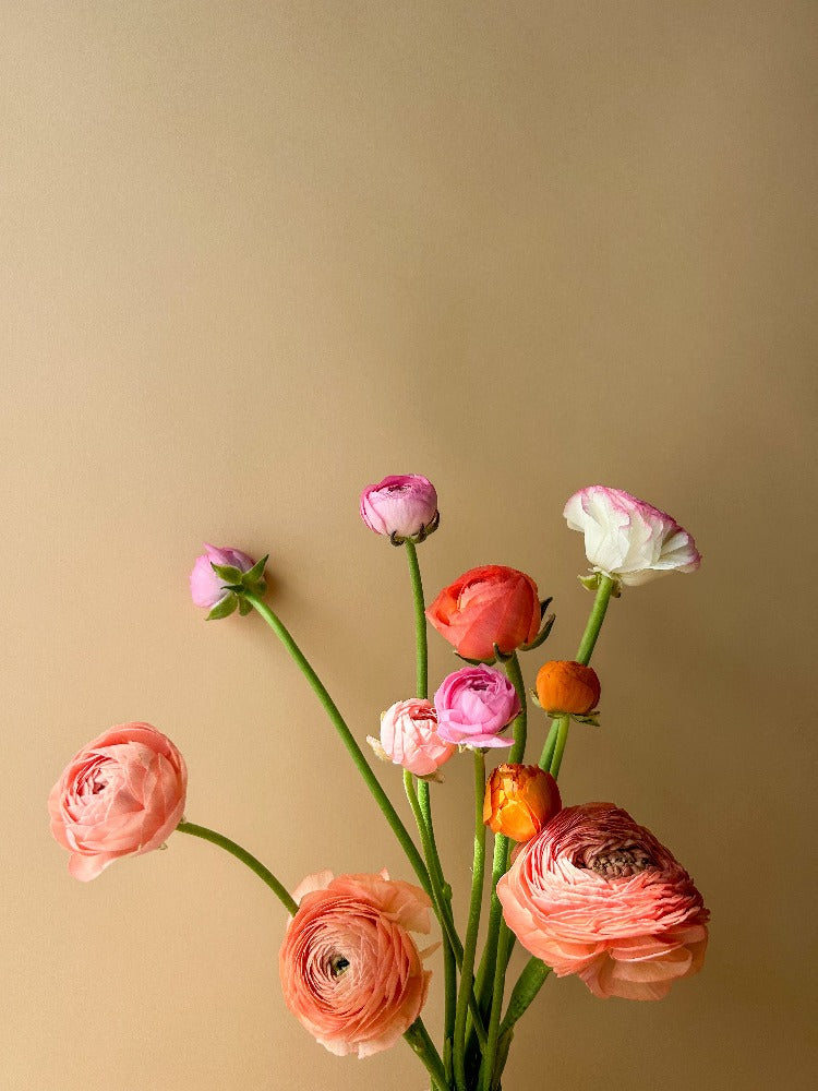 Mother's Day - Vancouver Florist - Vancouver Flower Delivery